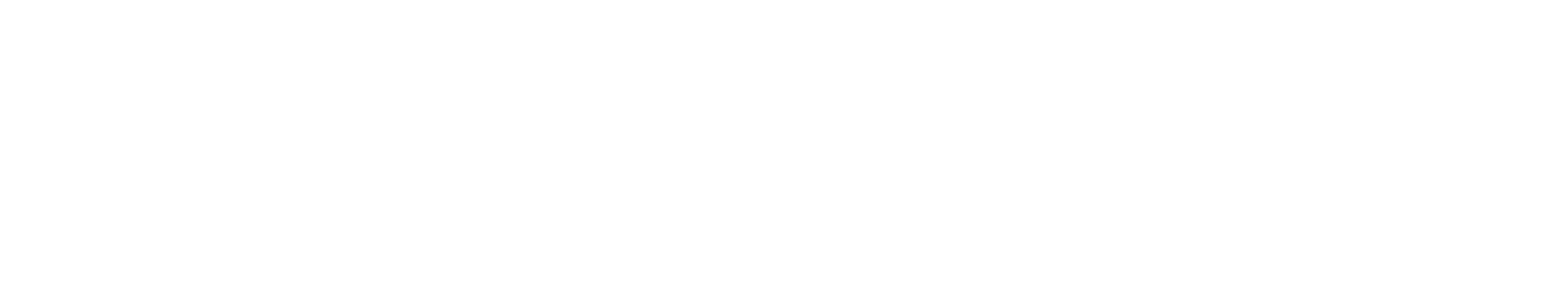 logo_footer